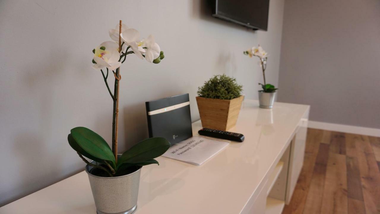 Apartament Lublin Centrum "Foxy Cat" 外观 照片